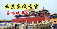 好多水肏视频中国北京-东城古宫旅游风景区